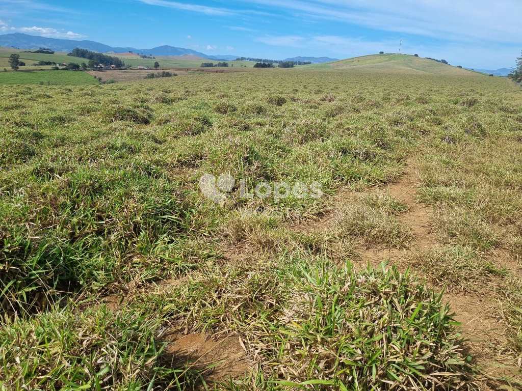 Fazenda em Itajubá, no bairro Área Rural de Itajubá