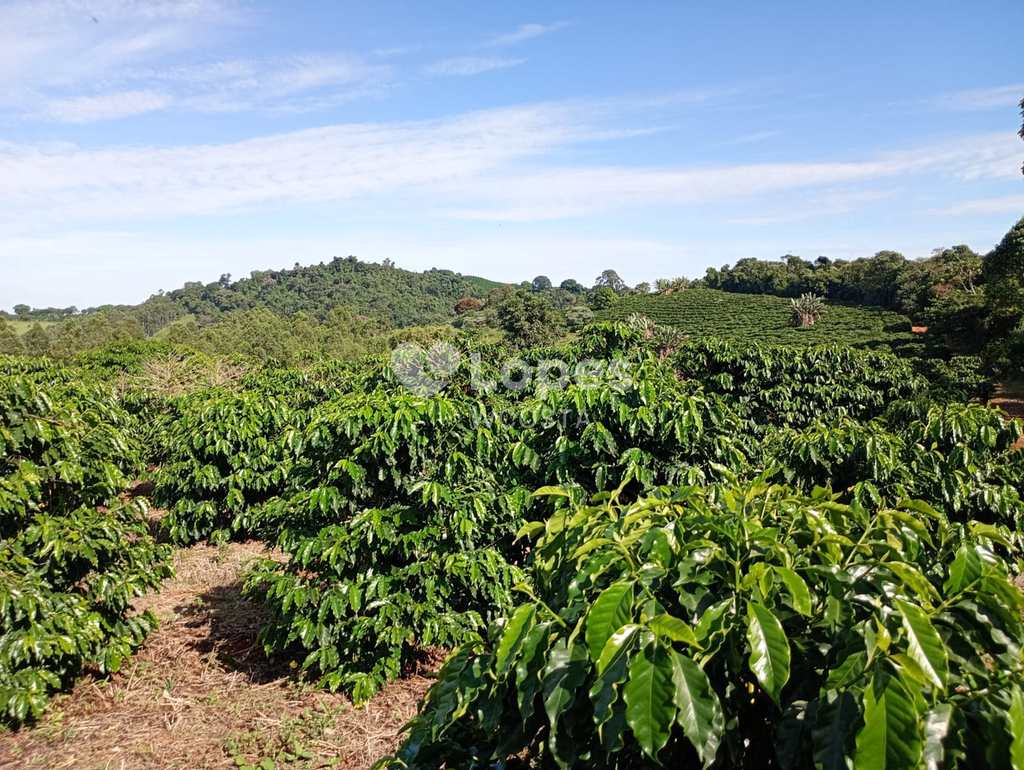 Fazenda em Caconde, no bairro Centro