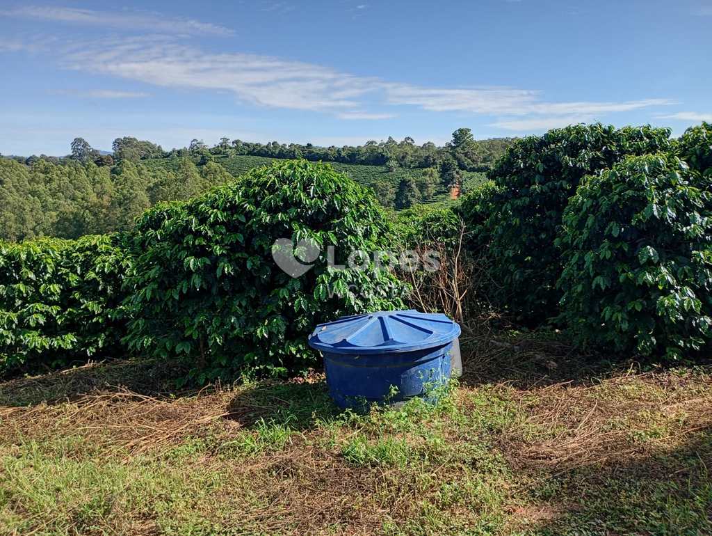 Fazenda em Caconde, no bairro Centro