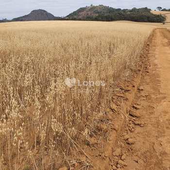 Fazenda em Pouso Alegre, bairro Área Rural de Pouso Alegre