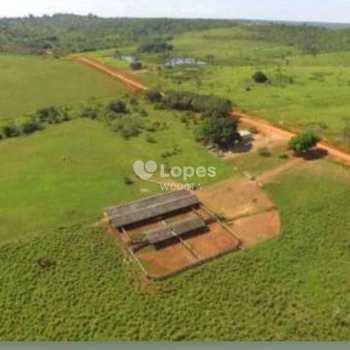 Fazenda em Apuí, bairro Centro