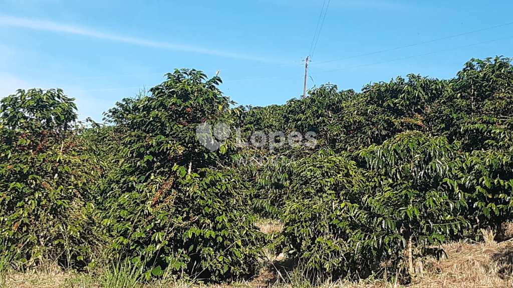 Sítio em Silvianópolis, no bairro Centro