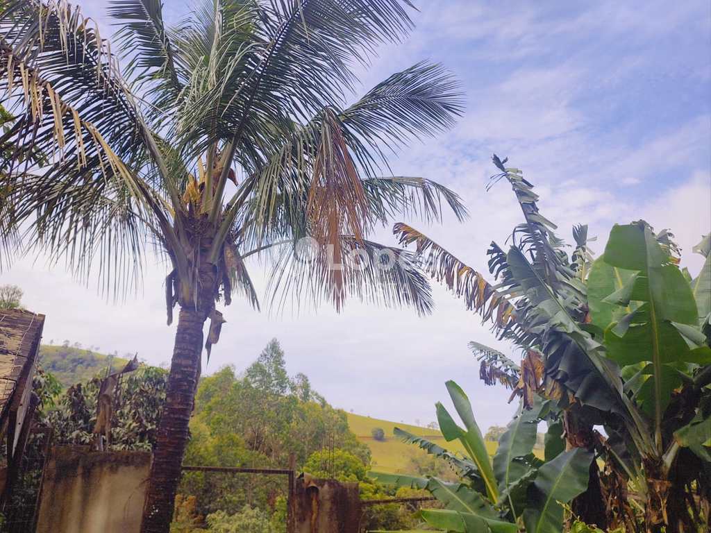 Sítio em Cambuí, no bairro Centro