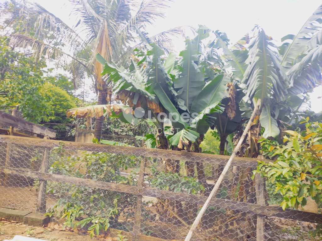 Sítio em Cambuí, no bairro Centro