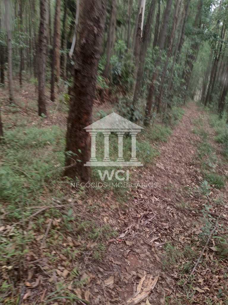 Fazenda em Oliveira, no bairro Centro