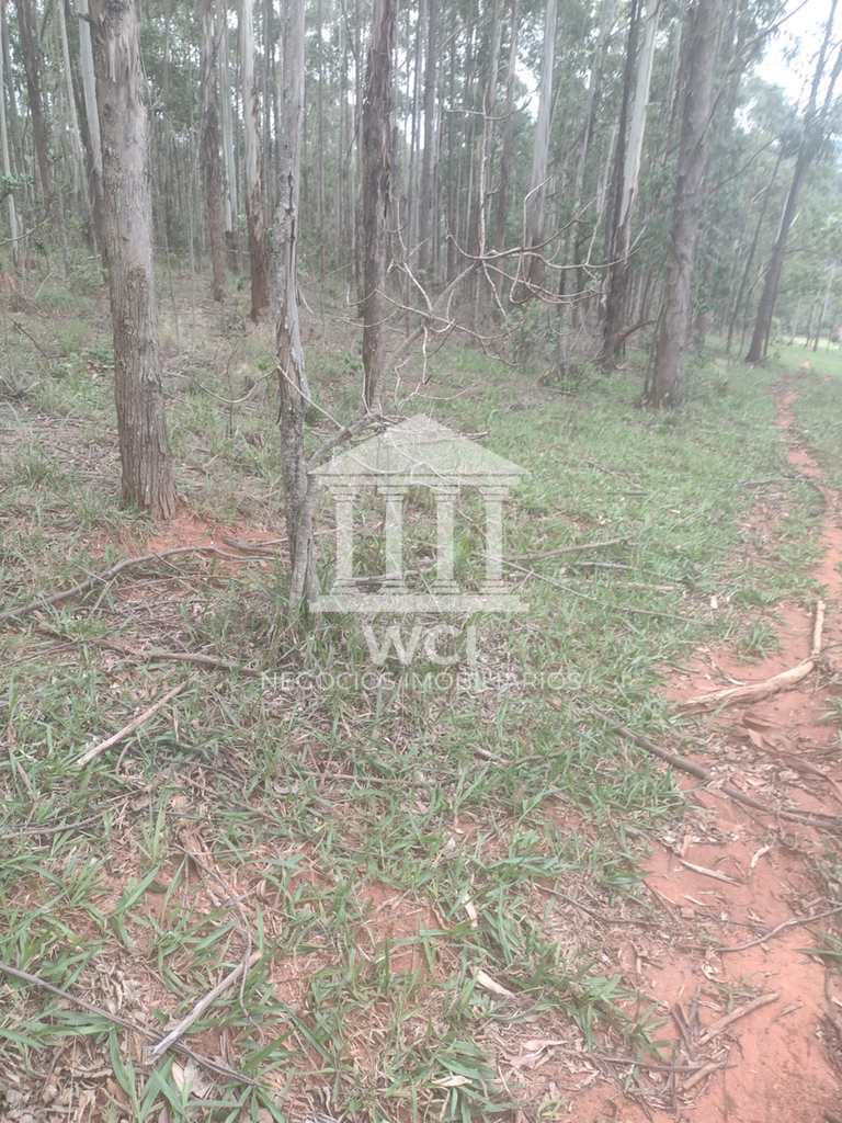 Fazenda em Oliveira, no bairro Centro