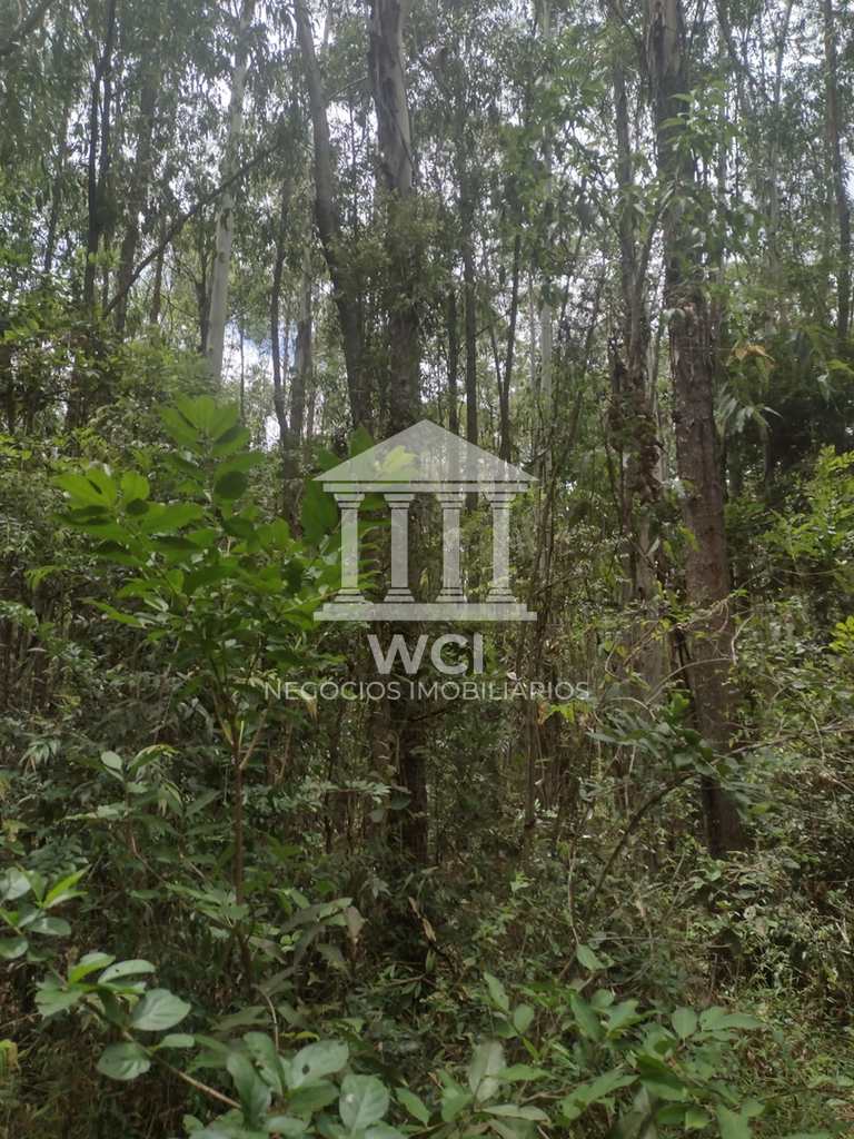 Fazenda em Oliveira, no bairro Centro