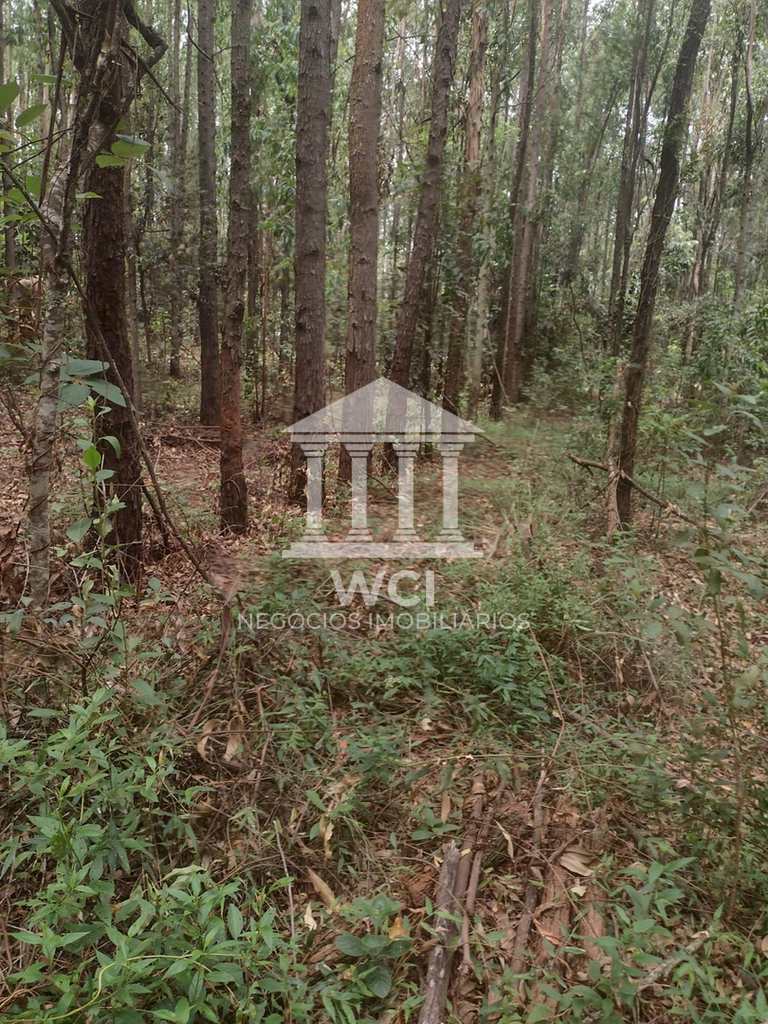 Fazenda em Oliveira, no bairro Centro