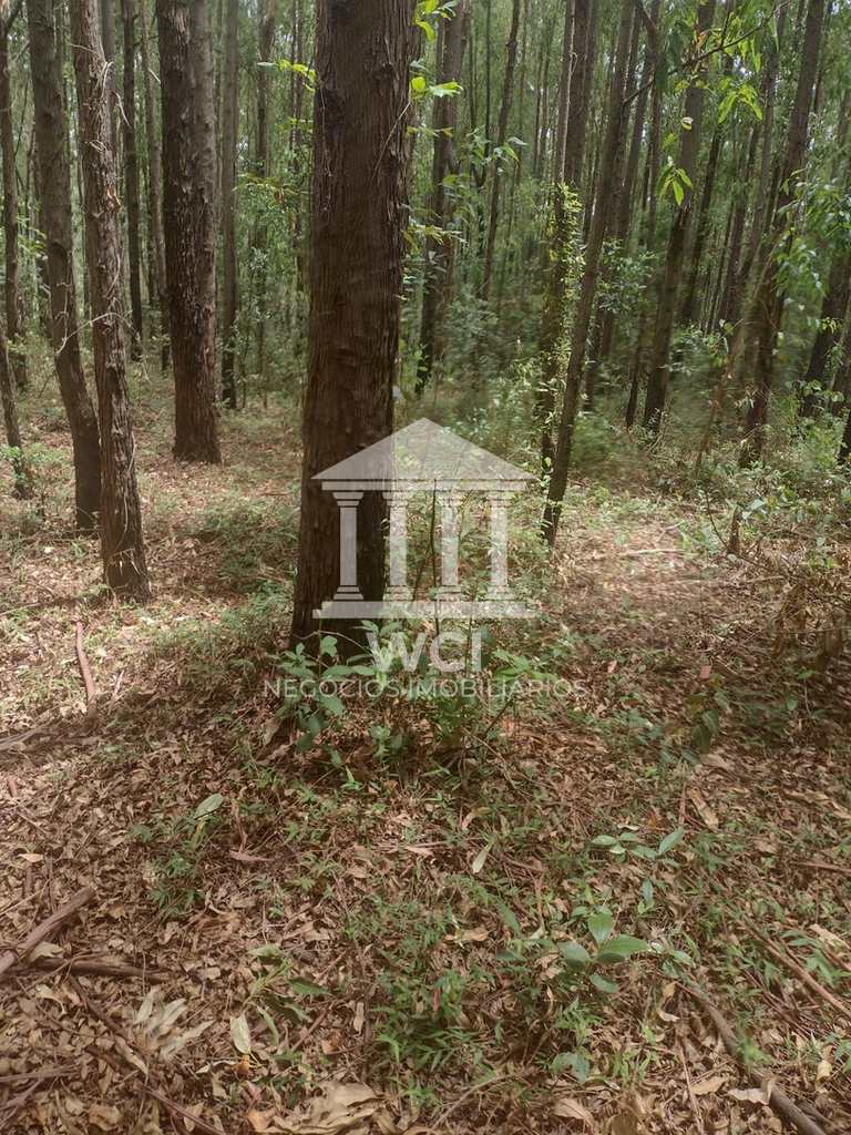 Fazenda em Oliveira, no bairro Centro