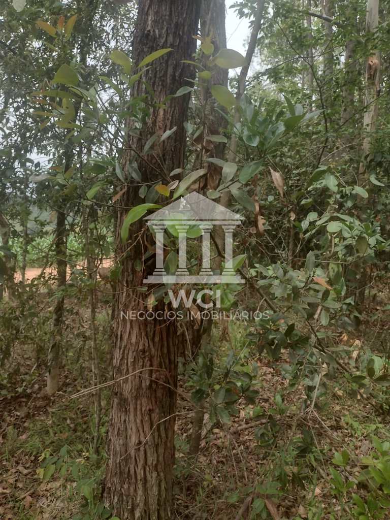 Fazenda em Oliveira, no bairro Centro