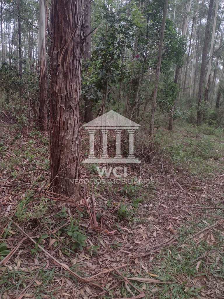 Fazenda em Oliveira, no bairro Centro