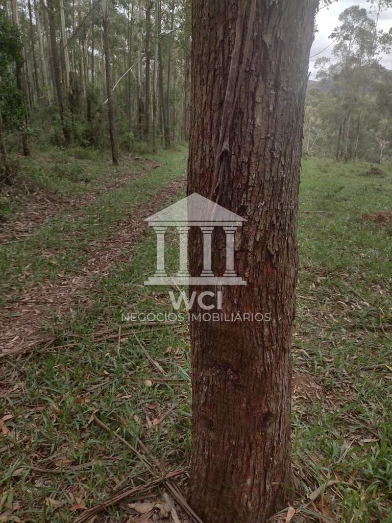 Fazenda em Oliveira, no bairro Centro