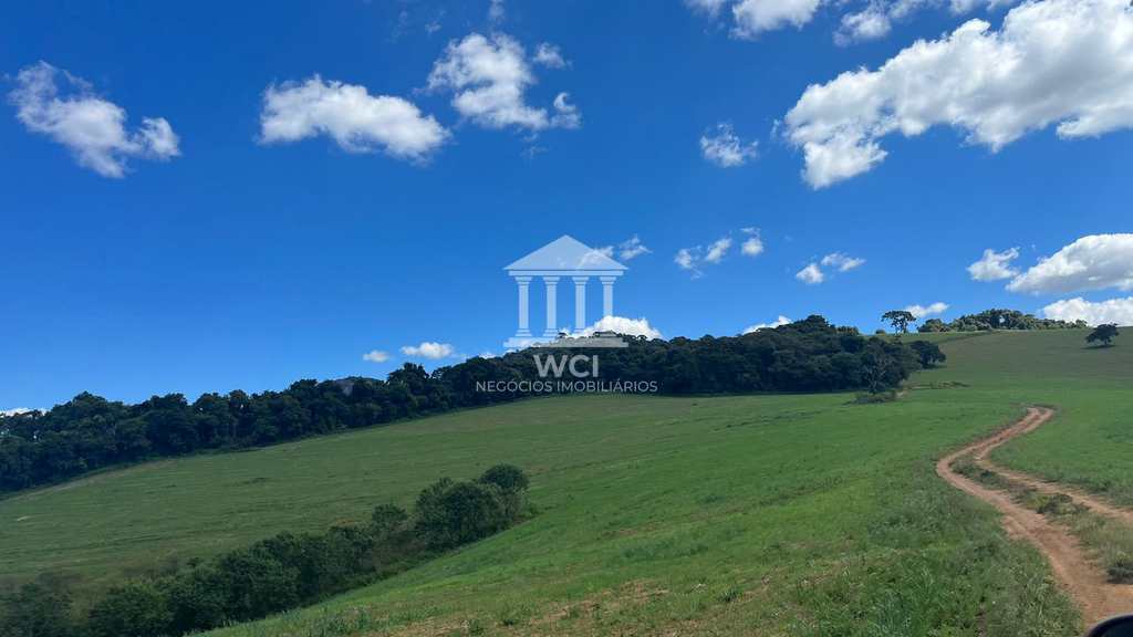 Fazenda em Ipuiúna, no bairro Centro
