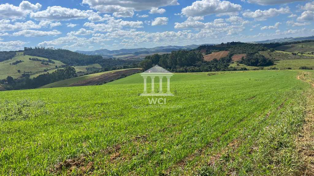 Fazenda em Ipuiúna, no bairro Centro