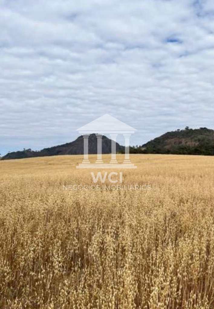 Fazenda em Ipuiúna, no bairro Centro