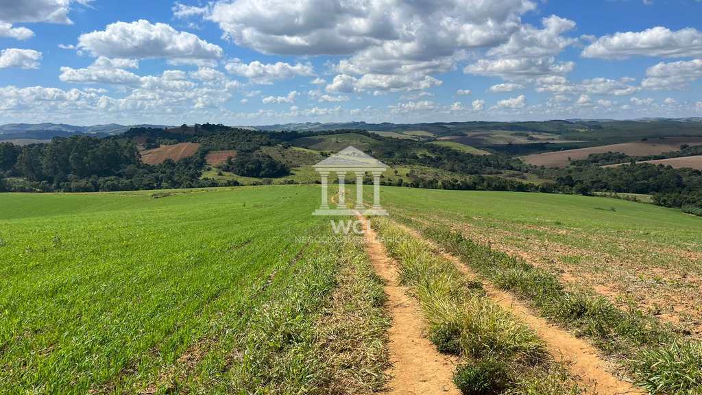 Fazenda em Ipuiúna, no bairro Centro