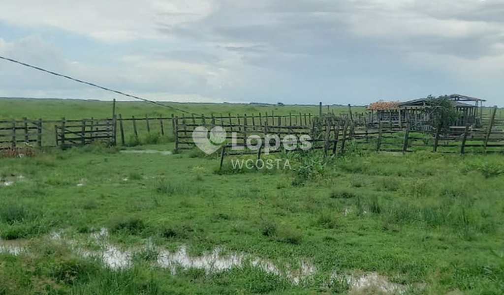 Fazenda em Altamira, bairro Bela Vista