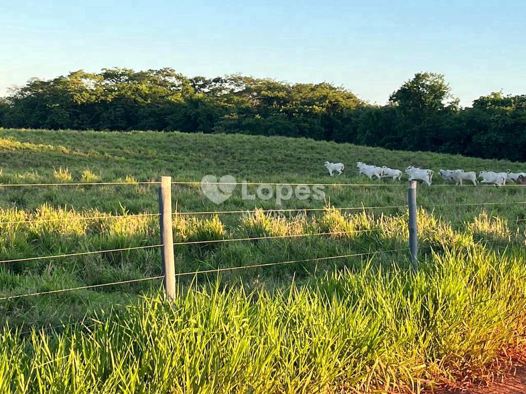 Sítio em Frutal, no bairro Centro
