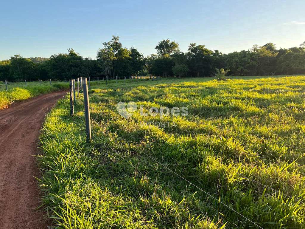 Sítio em Frutal, no bairro Centro