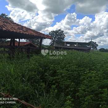 Fazenda em Ituiutaba, bairro Zona Rural