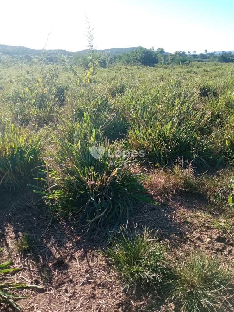 Fazenda em Brasilândia de Minas, no bairro Centro