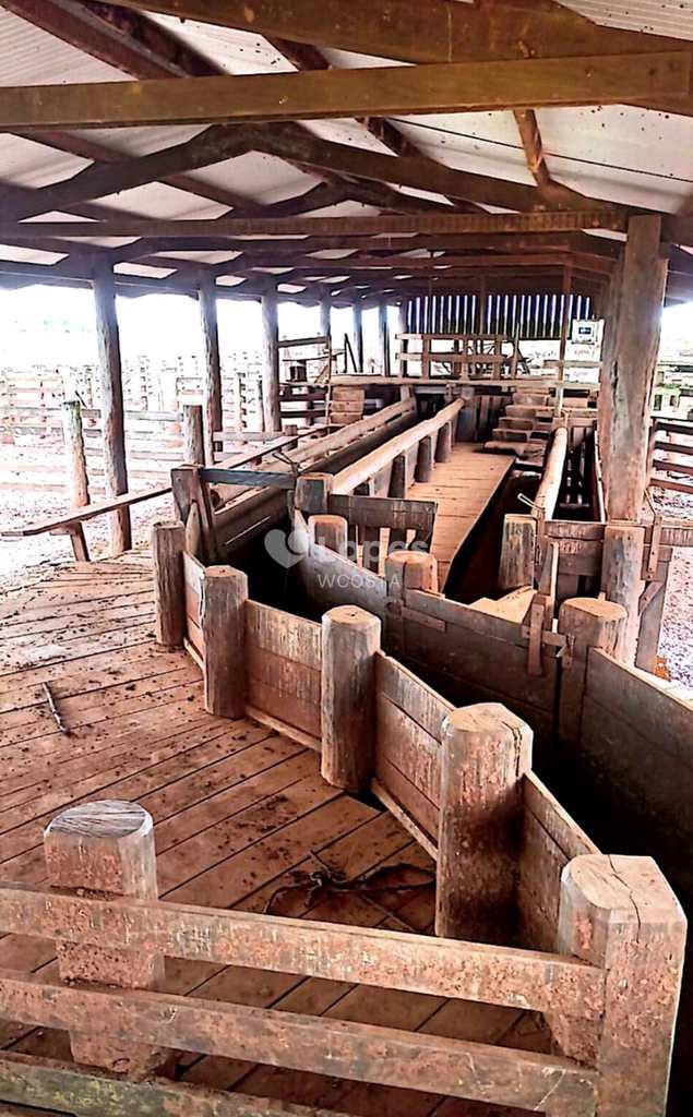 Fazenda em Brasnorte, no bairro Centro