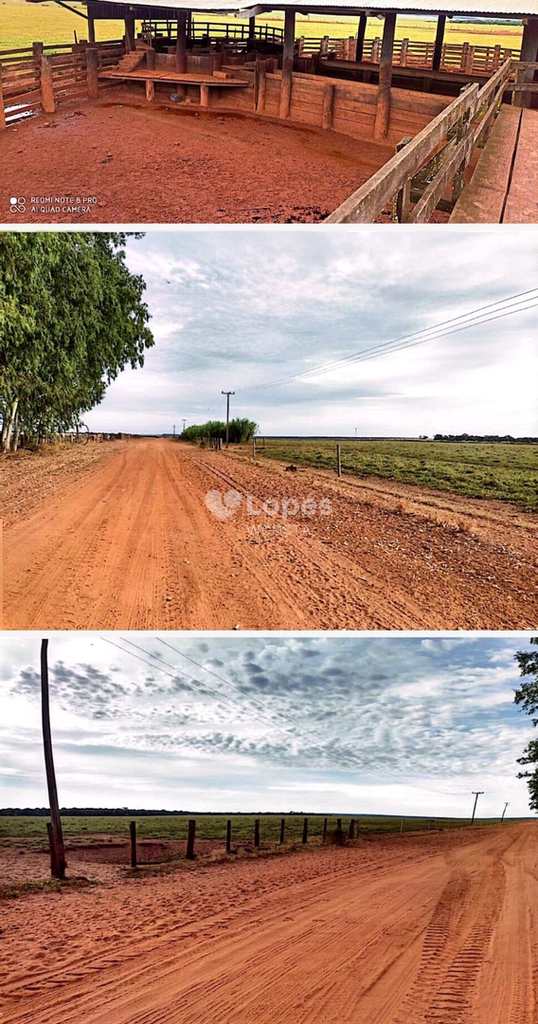 Fazenda em Brasnorte, no bairro Centro