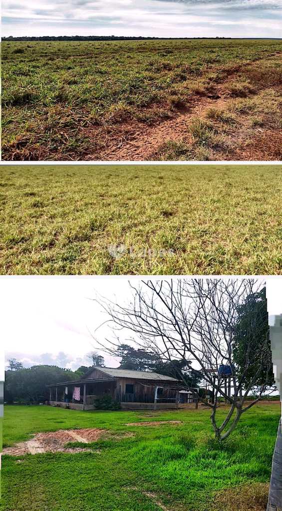 Fazenda em Brasnorte, no bairro Centro