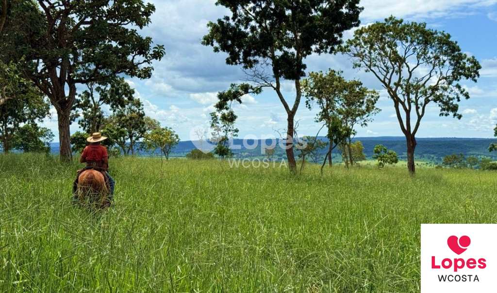 Fazenda em Campina Verde, no bairro Centro