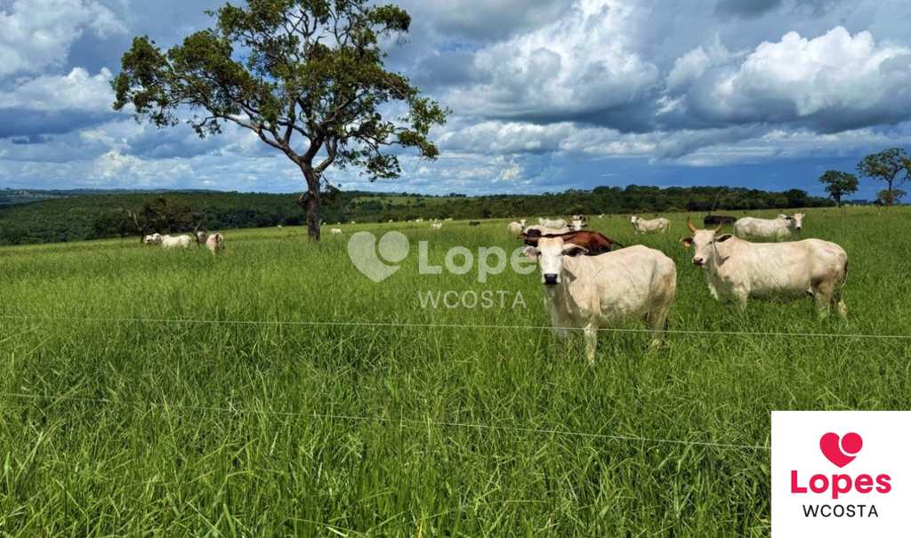 Fazenda em Campina Verde, no bairro Centro