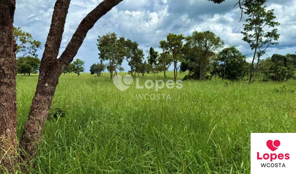 Fazenda em Campina Verde, no bairro Centro