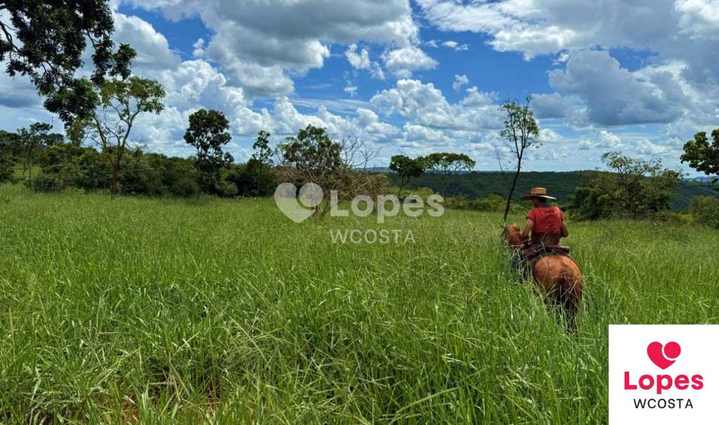 Fazenda em Campina Verde, no bairro Centro