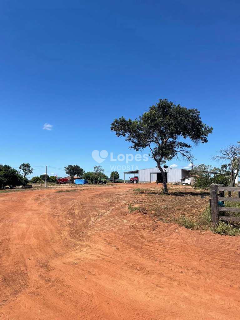 Fazenda em Peixe, no bairro Setor Central