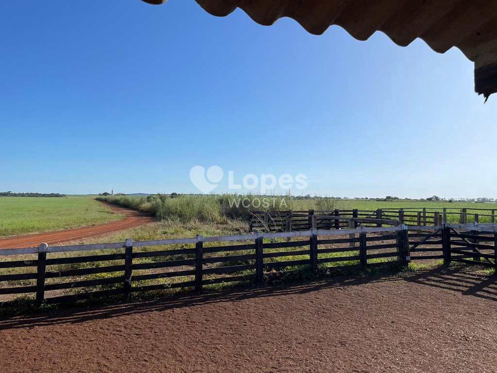 Fazenda em Peixe, no bairro Setor Central