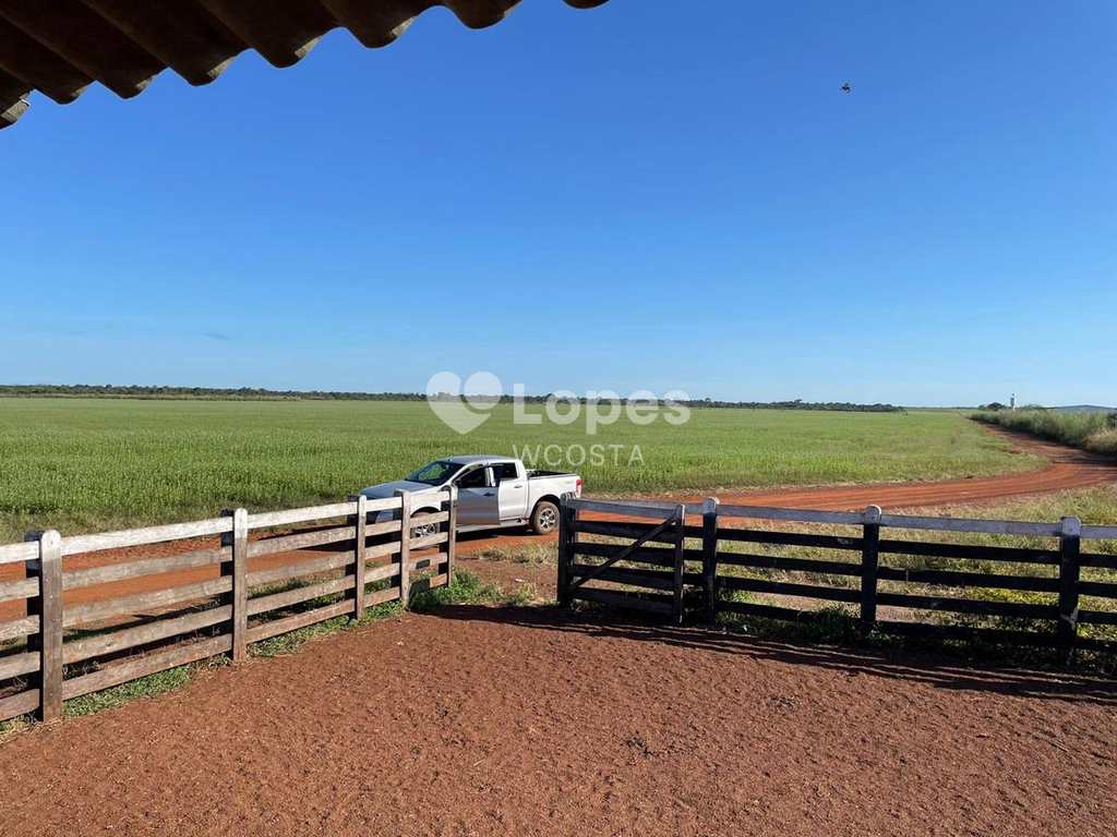 Fazenda em Peixe, no bairro Setor Central