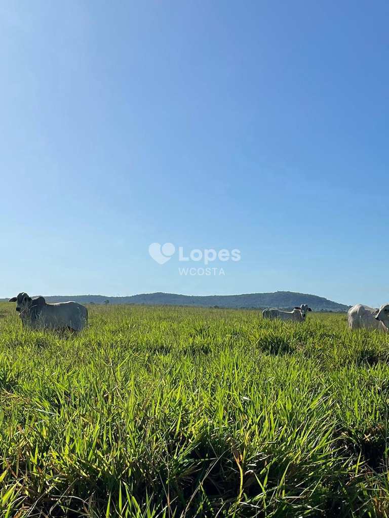 Fazenda em Peixe, no bairro Setor Central