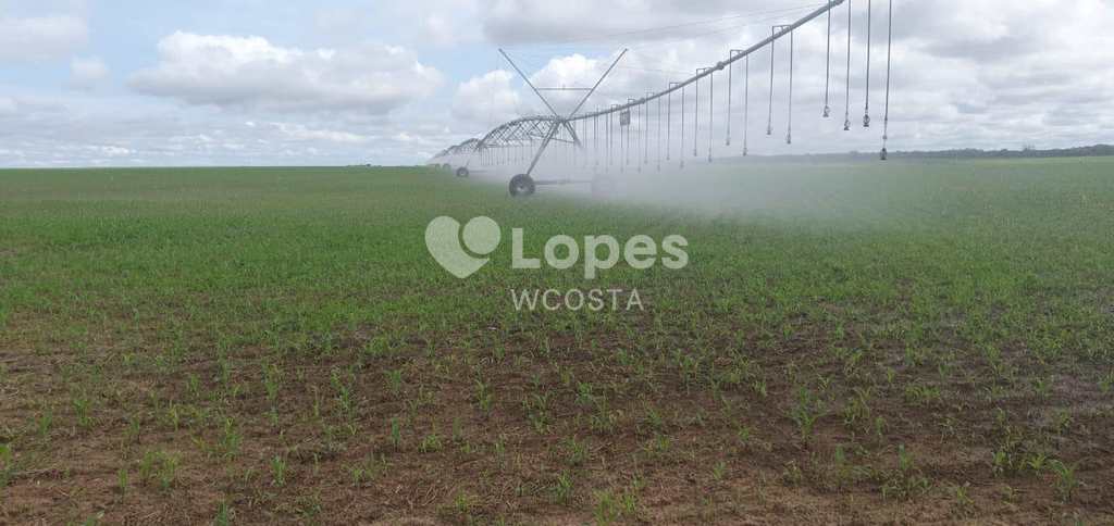 Fazenda em Peixe, no bairro Setor Central