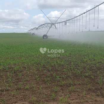 Fazenda em Peixe, bairro Setor Central