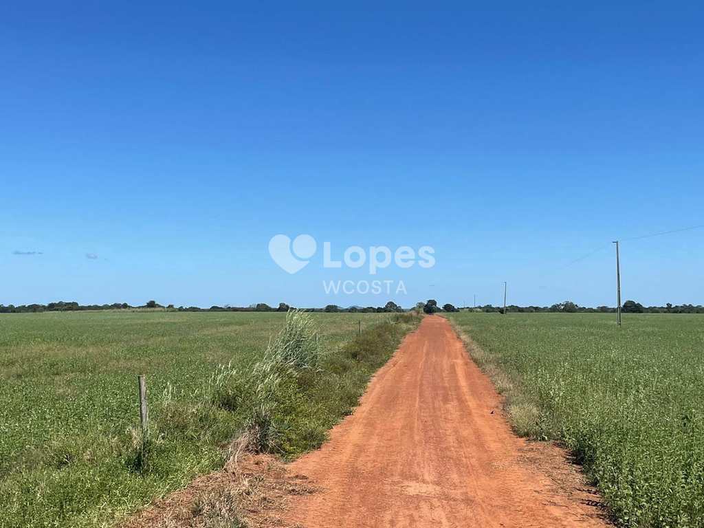 Fazenda em Peixe, no bairro Setor Central