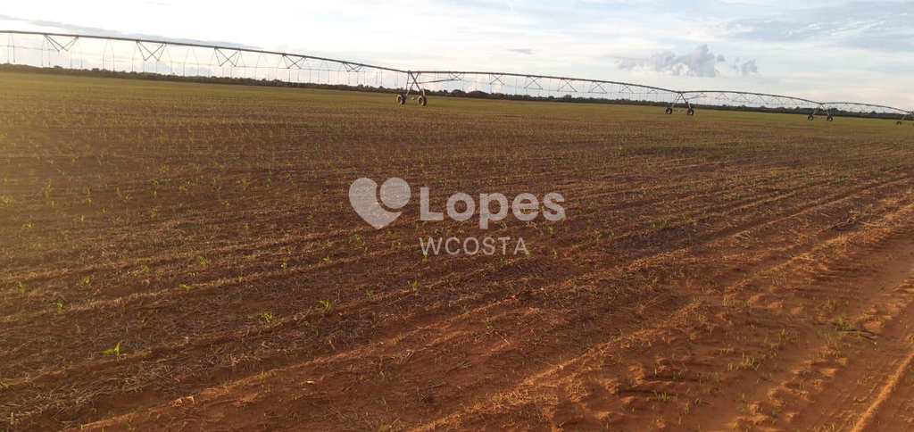 Fazenda em Peixe, no bairro Setor Central