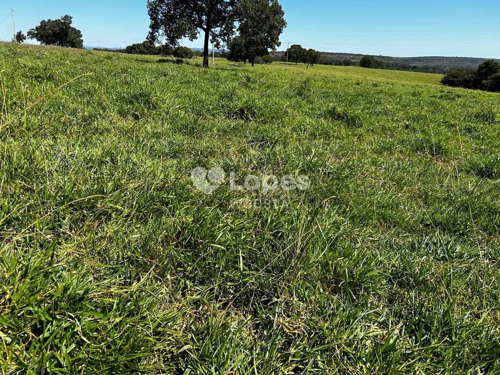 Fazenda em Mineiros, no bairro Setor Central