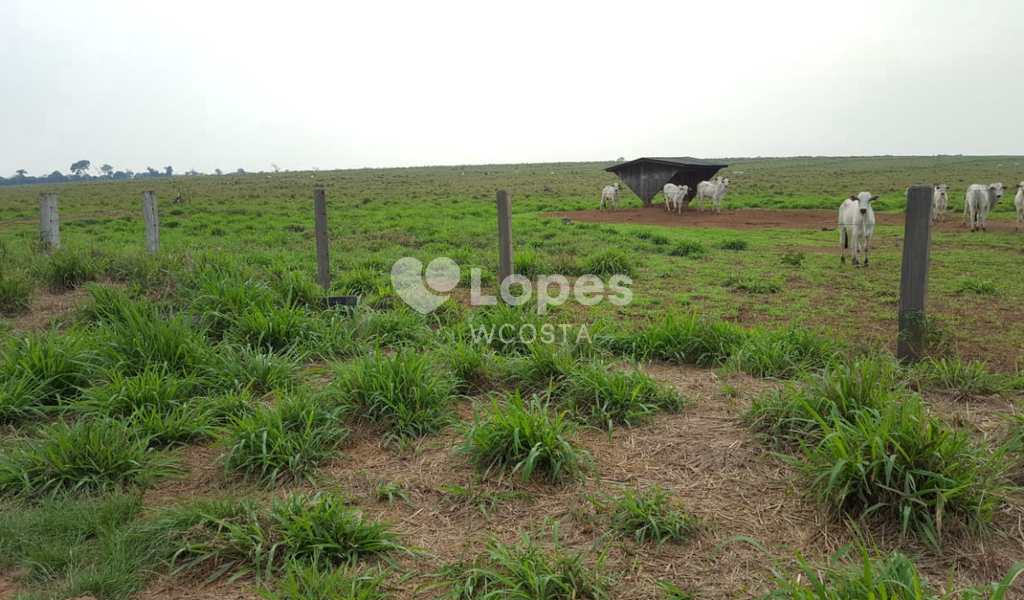 Fazenda em Juína, bairro Centro