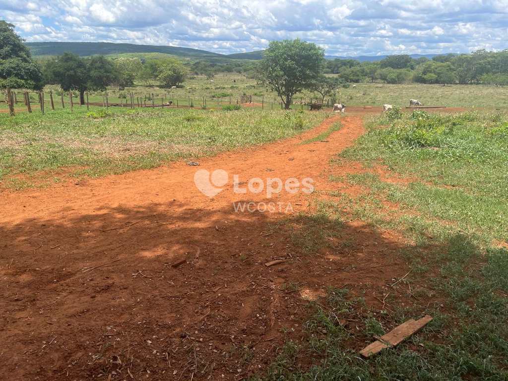 Fazenda em Joaquim Felício, no bairro Centro
