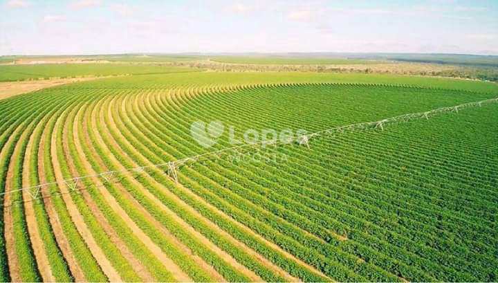 Fazenda em Buritizeiro, no bairro Centro