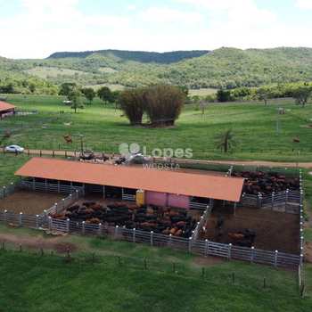 Fazenda em Uberlândia, bairro Área Rural de Uberlândia