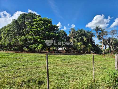 Fazenda, código 1210 em Três Lagoas, bairro Área Rural de Três Lagoas