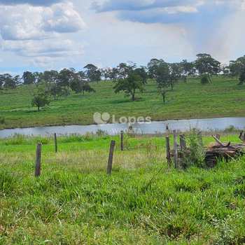 Fazenda em Santa Vitória, bairro Centro