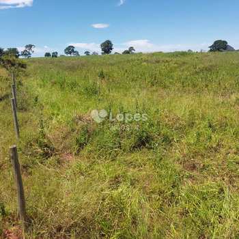 Fazenda em Paraúna, bairro Setor Central