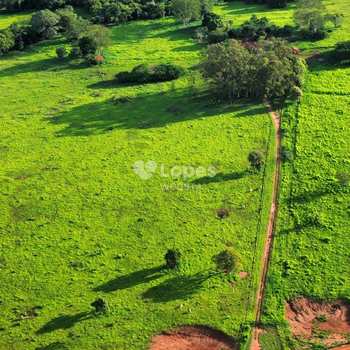 Fazenda em Gurinhatã, bairro Centro