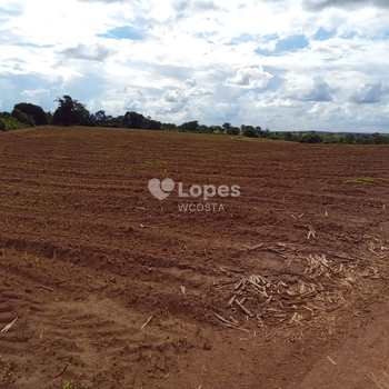 Fazenda em Uberaba, bairro Área Rural de Uberaba